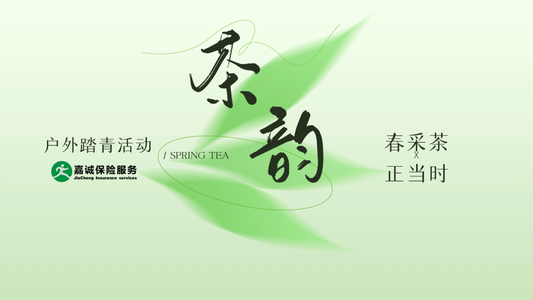 春采茶·正当时 壹号平台注册链接_壹号平台下载安装户外踏青活动